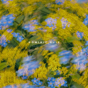 欧美18Vⅰdeos初次摘花
